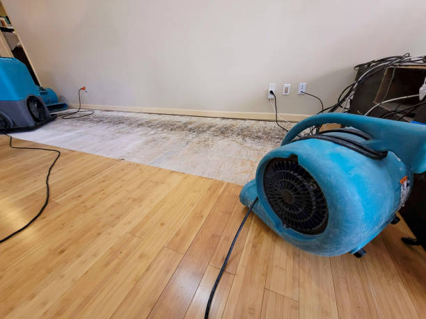 Professional Water Damage Repair technician working in Valley Center, KS